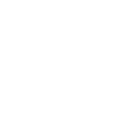 Binetic Logo